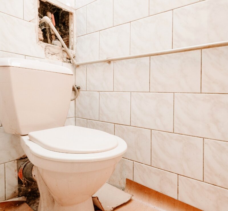 Gergely Photo_00005-9